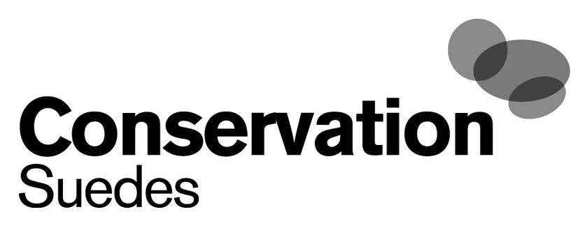 Conservation Suedes black